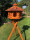 DARLUX Vogel Futter Haus XL Futterstelle Sechseck Holz mit Ständer Braun/ Rot  Garten Vogelfutterhaus Wetterfest