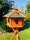 DARLUX Vogel Futter Haus XL Futterstelle Sechseck Holz mit Ständer Braun/ Grün Garten Vogelfutterhaus Wetterfest