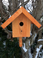 DARLUX Garten Holz Nistkasten Nisthaus Brutstätte für kleine Singvögel Braun/ Schwarz Wetterfest