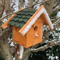DARLUX Garten Holz Nistkasten Nisthaus Brutstätte für kleine Singvögel Braun/ Grün Wetterfest