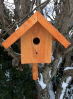 DARLUX Garten Holz Nistkasten Nisthaus Brutstätte für kleine Singvögel Braun/ Grün Wetterfest
