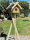 DARLUX Rechteckiges Vogel Futter Haus aus Holz + Ständer Natur/Dunkelbraun
