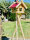 DARLUX Rechteckiges Vogelhaus Vogel Futterstelle aus Holz + Ständer Natur/Rot