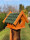 DARLUX Garten Holz Eichhörnchenhaus Nistkasten Brutstätte Futterhaus Braun/ Grün Wetterfest
