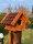 DARLUX Garten Holz Eichhörnchenhaus - Nistkasten Brutstätte Futterhaus Braun/Rot