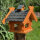 DARLUX Rechteckiges Holz Vogelhaus M Vogel Futter Haus  Futterstelle Braun/ Blau