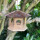 DARLUX Sechseck Vogel Futter Haus  Futterstelle Vogelhaus Hängend Braun