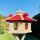 DARLUX Vogel Futter Haus XL Sechseck Holz Vogelhaus Futterspender Natur/ Rot Vogelfutterhaus Wetterfest
