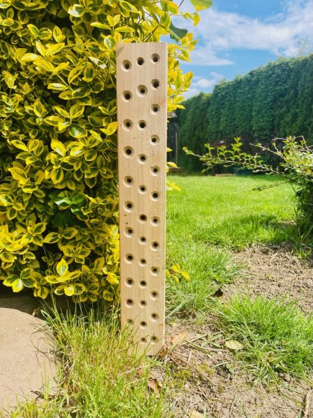 DARLUX Garten Wildbienen- Insektenhotel Nisthilfe Hartholz Stamm Naturbelassen H=600 mm  Hartholz Stamm Freistehend oder Hängend