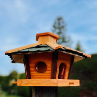 DARLUX Sechseck Vogel Futter Haus M Futterstelle Holz-Vogelhaus Braun/Grün