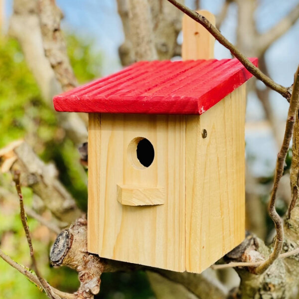 DARLUX Garten Flachdach Nistkasten Brutstätte für kleine Singvögel Holz Natur/ Rot Wetterfest