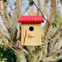 DARLUX Garten Flachdach Nistkasten Brutstätte für kleine Singvögel Holz Natur/ Rot Wetterfest