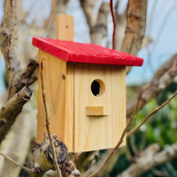 DARLUX Garten Flachdach Nistkasten Brutstätte für kleine Singvögel Holz Natur/ Rot Wetterfest