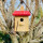 DARLUX Garten Flachdach Nistkasten Brutstätte für kleine Singvögel Holz Natur/ Rot Wetterfest