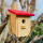 DARLUX Garten Flachdach Nistkasten Brutstätte für kleine Singvögel Holz Natur/ Rot Wetterfest