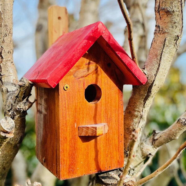 DARLUX Garten Spitzdach Nistkasten Brutstätte für kleine Singvögel Holz Braun/ Rot Wetterfest