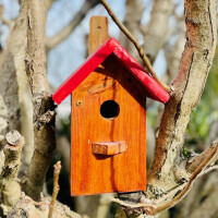 DARLUX Garten Spitzdach Nistkasten Brutstätte für kleine Singvögel Holz Braun/ Rot Wetterfest