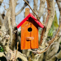 DARLUX Garten Spitzdach Nistkasten Brutstätte für kleine Singvögel Holz Braun/ Rot Wetterfest