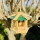 DARLUX Sechseck Holz Vogel Futter Haus S Ø 22 cm Futterstelle Hängend Natur/Grün