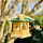 DARLUX Sechseck Holz Vogel Futter Haus S Ø 22 cm Futterstelle Hängend Natur/Grün