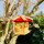 DARLUX Sechseck Holz Vogel Futter Haus S Ø 22 cm Futterstelle Hängend Natur / Rot Vogelhaus