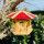 DARLUX Sechseck Holz Vogel Futter Haus XL Futterstelle Hängend Natur/Rot