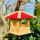 DARLUX Sechseck Holz Vogel Futter Haus XL Futterstelle Hängend Natur/Rot