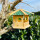 DARLUX Sechseck Holz Vogel Futter Haus XL Futterstelle Hängend Natur/Grün