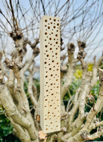 DARLUX Garten Wildbienen - Insektenhotel Nisthilfe Holzstamm Naturbelassen 600 mm Holz Stamm Freistehend oder Hängend