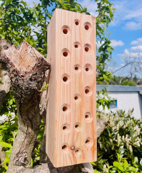 DARLUX Garten Wildbienen- Insektenhotel Nisthilfe Hartholz Stamm Naturbelassen 300 mm Hartholz Freistehend oder Hängend