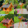 DARLUX Rechteckiges XL Holzvogelhaus Vogel Futterhaus Blau/ Grün/ Rot/ Schwarz