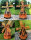 DARLUX Sechseck Holz Garten-Windmühle  Braun/ Blau, Grün, Rot, Schwarz H=95 cm