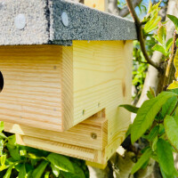 DARLUX Garten Natur Holz Nistkasten mit Marderschutz für Kohlmeise u. kleine Singvögel Wetterfest Artgerecht nach NABU