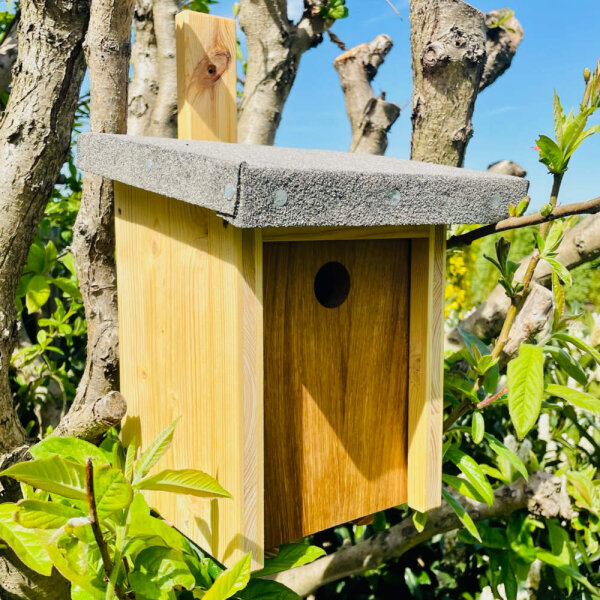 DARLUX Garten Natur Holz Nistkasten für Blaumeise u. kleine Singvögel Ø 26 mm Wetterfest Artgerecht nach NABU