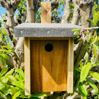 DARLUX Garten Natur Holz Nistkasten für Blaumeise u. kleine Singvögel Ø 26 mm Wetterfest Artgerecht nach NABU