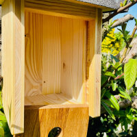 DARLUX Garten Natur Holz Nistkasten für Blaumeise u. kleine Singvögel Ø 26 mm Wetterfest Artgerecht nach NABU