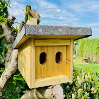 DARLUX Garten Natur Holz Nistkasten mit Marderschutz für Hausrotschwanz Rotkehlchen Wetterfest Artgerecht nach NABU