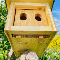 DARLUX Garten Natur Holz Nistkasten mit Marderschutz für Hausrotschwanz Rotkehlchen Wetterfest Artgerecht nach NABU