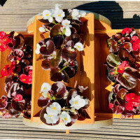 DARLUX Garten/ Balkon Holz Blumentreppe Blumenrad 3er Blumenbank Braun