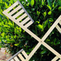 2 x DARLUX Ersatz Flügel XL für Garten-Windmühle Windmühlenflügel Holz Natur 85 cm