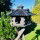 DARLUX Vogelfutterhaus XL Sechseck Vogelhaus + Ständer Futterstelle Dunkelbraun Garten Vogelfutterhaus Wetterfest