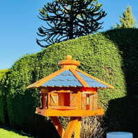 DARLUX Vogelfutterhaus XL Sechseck Vogelhaus Holz Futterstelle Braun/ Blau  Garten Vogelfutterhaus Wetterfest