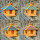DARLUX Wand Vogelfutterhaus XL Vogelhaus Futterstelle Hängend Blau, Grün, Rot, Schwarz Vogelfutterhaus Wetterfest