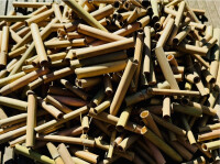 DARLUX 1000 x Bambusröhrchen I Nisthilfe für Wildbienen I Insektenhotel Füllmaterial I 80 mm I Naturbelassen