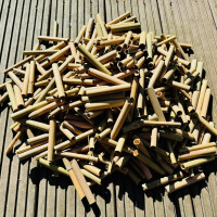 DARLUX 1000 x Bambusröhrchen I Nisthilfe für Wildbienen I Insektenhotel Füllmaterial I 80 mm I Naturbelassen