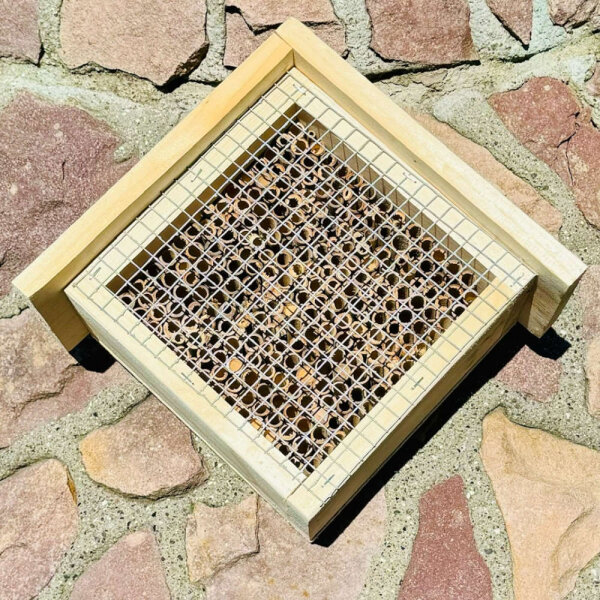 DARLUX Garten Holz Insektenhotel L Wildbienen-Nisthilfe Rechteckiges Insektenhaus Naturbelassen mit Schutzgitter