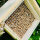 DARLUX Garten Holz Insektenhotel L Wildbienen-Nisthilfe Rechteckiges Insektenhaus Naturbelassen mit Schutzgitter