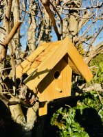 DARLUX Garten Holz Nistkasten Nisthaus Brutstätte...