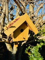 DARLUX Garten Holz Nistkasten Nisthaus Brutstätte für kleine Singvögel Natur/Braun Wetterfest