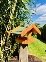 DARLUX Rechteckiges Vogelhaus zum Aufhängen oder Aufstellen Braun/Grün Holz